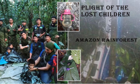 amazon rainforest lost of four children